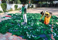 Is the Bihar Election Result Signaling a Major Setback for RJD?