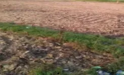 Bihar set to enact law to take over Bettiah Raj land for development