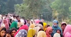 सीतामढ़ी में खेत के करंट से पति-पत्नी समेत 3 की मौत, फसल बचाने को लगाए थे नंगे तार