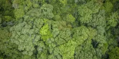NBA disburses ₹2.82 crore to states under biodiversity benefit-sharing