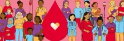 Blood transfusion cornerstone of effective healthcare, emergency response: WHO