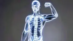 क्या बोन मैरो हड्डियों को मजबूत रखने में मदद करता है? आयुर्वेदिक औषधियों से कैसे मिलेगी ताकत?
