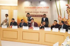 Will Mizoram Become the 'Ginger Capital of India'?