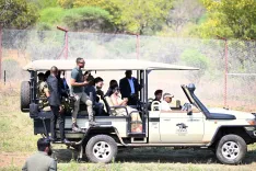 What Does Botswana's Donation of Eight Cheetahs to India Mean for Wildlife Conservation?