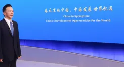 ब्रासीलिया में 'चाइना इन स्प्रिंग' संवाद: ब्राजील के लिए नए अवसर