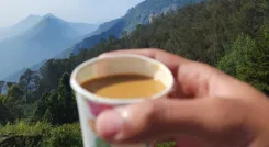ब्रश के तुरंत बाद चाय क्यों नहीं पीनी चाहिए?