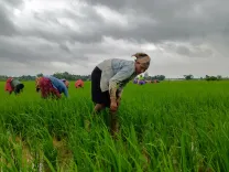 PM-KISAN extended to 2030-31 with ₹3.15 lakh crore outlay by Cabinet