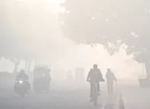 What Steps Did CAQM Take to Mitigate Dust on Gurugram Roads?