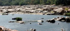 Cauvery water row: SC allows Tamil Nadu to move CWMA, next hearing Aug 31