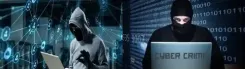 Did CBI Achieve Success in Interpol Operation HAECHI-VI by Arresting Eight Criminals?