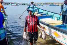 India's small-scale fisheries action plan: Centre consults 30 mn-strong sector