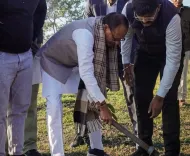 Will the Centre Introduce New Laws to Combat Fake Seed Sales?