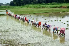 Khet Bachao Abhiyan 2026: Centre launches Rabi campaign for soil health, sustainable farming
