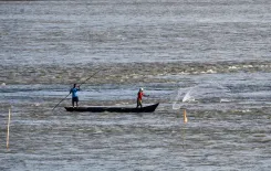 मिशन रंगीन मछली 2031: उपराष्ट्रपति राधाकृष्णन 31 अगस्त को लक्षद्वीप से करेंगे लॉन्च