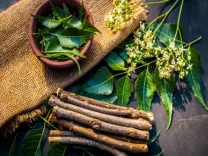 चैत्र माह में नीम का आध्यात्मिक एवं आयुर्वेदिक महत्व: भारत में विशेष स्थान