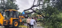 चक्रवात 'अर्नब' का कोनासीमा पर असर: कलेक्टर ने बुधवार दोपहर तक घरों में रहने की अपील की