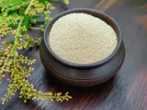 क्या चौलाई के बीज बुजुर्गों और गर्भवती महिलाओं के लिए एक सुपरफूड हैं?