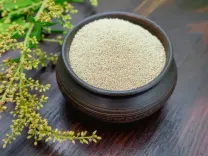 चौलाई के बीज: बुजुर्गों से लेकर गर्भवती महिलाओं के लिए सुपरफूड है चौलाई के बीज, सेवन से मिलेंगे कई लाभ