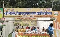 छत्तीसगढ़: धमतरी में मिलेट महोत्सव, डॉ. खादर वली ने बताया मोटे अनाज का फायदा