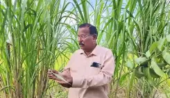 How Did Chhattisgarh Farmer Vaman Tikriha Earn the Khubchand Baghel Krishak Ratna Award for Organic Innovation?
