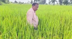 क्या वामन टिकरिहा ने छत्तीसगढ़ की मिट्टी से नया गौरव उभारा है?