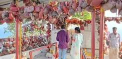 कोरबा के मां कोसगाई दाई मंदिर में सफेद ध्वज की परंपरा: जानिए इतिहास, मान्यता और धार्मिक महत्व