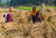 Who Was Arrested in the Chhattisgarh Paddy Procurement Scam?