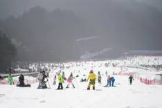 How Did a Travelator Accident Lead to the Death of a Child at a Ski Resort in Hokkaido?