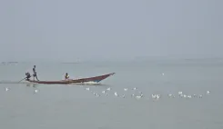 क्या चिल्का झील में डॉल्फिन गणना का सर्वे शुरू हो गया है?