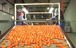 चीन का शून्य-टैरिफ कदम: अफ्रीका के विकास के लिए नए द्वार खोलता है