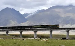 Chinese projects in Tibet ravaging environment, displacing communities