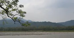 CM Assam Office Highlights Manas National Park's Rich Legacy