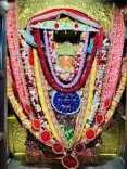 CM Bhajan Lal Sharma Pays Tribute to Maa Jeen Bhawani
