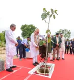 CM Bhupendra Patel Plants Trees With Amit Shah in Ahmedabad