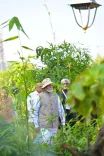 CM Bhupendra Patel promotes Ekta Nagar Rainforest and Skywalk