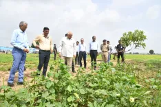 CM Bhupendra Patel Visits Gandhinagar Farmer, Backs Natural Farming