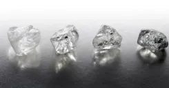 CM Chhattisgarh: Gem Diamonds Found in Mahasamund