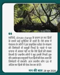 CM Conrad Sangma Thanks PM Modi for Spotlighting Meghalaya's Living Root Bridges