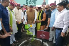 CM Dhami joins Harela fest, pledges 10 lakh saplings
