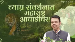 CM Fadnavis: 75% of World's Tigers Now Live in India