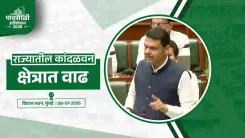 CM Fadnavis: Maharashtra mangrove cover up 12.39 sq km since 2021