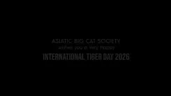 CM Fadnavis marks International Tiger Day with Asiatic Big Cat Society briefing