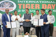 CM Fadnavis signs 11 MoUs on International Tiger Day in Nagpur