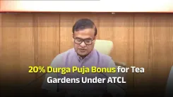 CM Himanta Approves 20% Durga Puja Bonus for ATCL Tea Workers