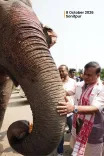 CM Himanta: Assam ranks 2nd in India's elephant population