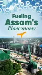 CM Himanta bets on bamboo to power Assam's bio-economy