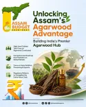 CM Himanta eyes agarwood mission to drive Assam's economy
