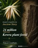 CM Himanta flags 24-million-year-old fossil find in Assam