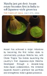CM Himanta flags Assam estate's first Indian matcha launch