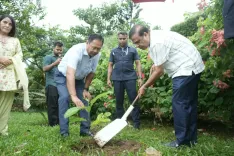 CM Himanta Inaugurates Solar Project at Assam Tea Estate